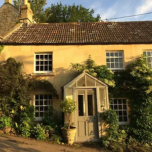 Yew Tree , Bath United Kingdom